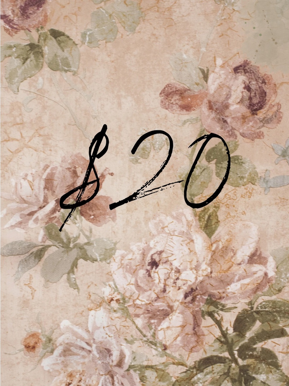 $20 Start